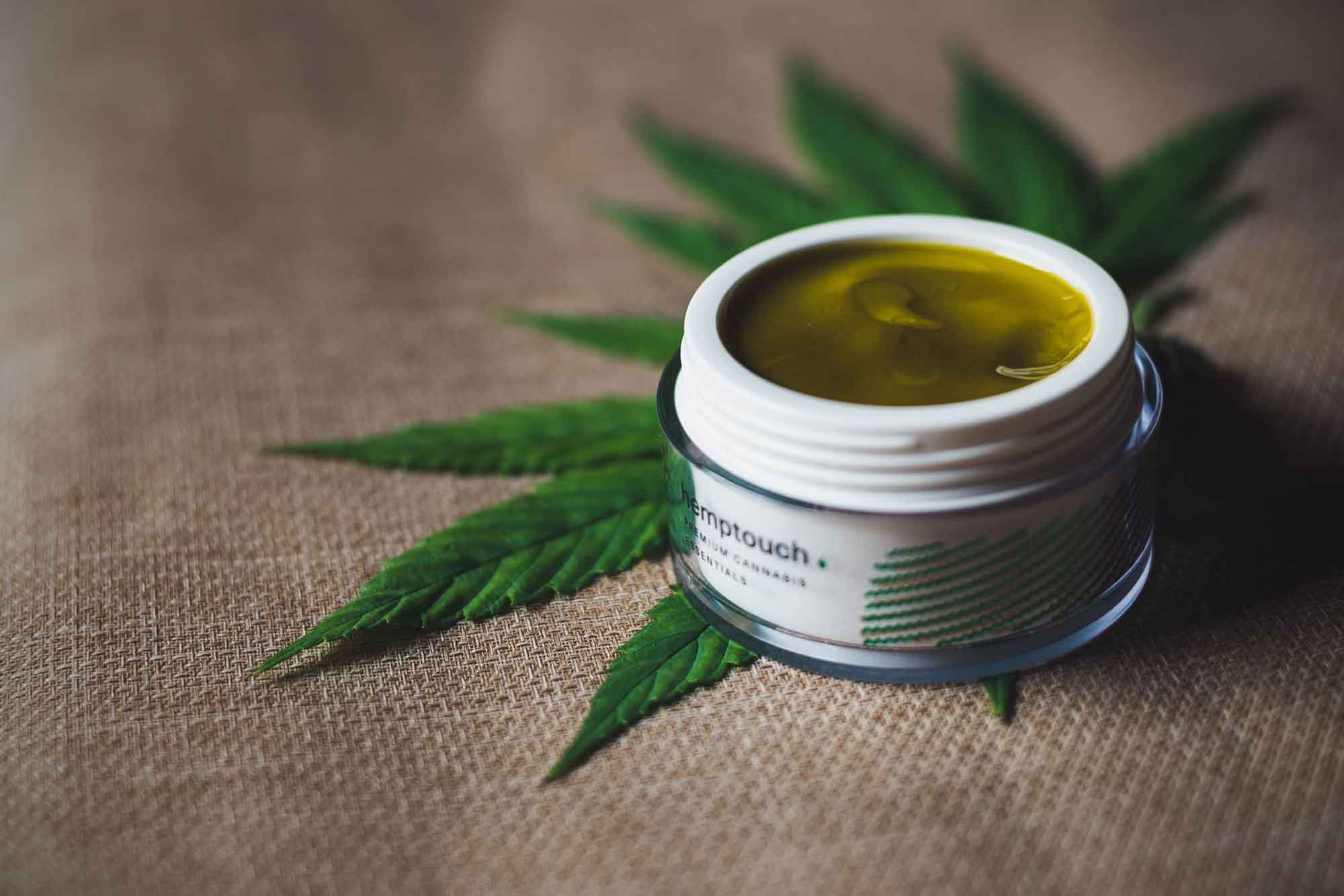 Naming a Cannabis Company? Here’s What to Consider